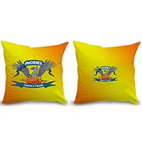  PILLOWS (CUSHIONS) WITH INSERTS